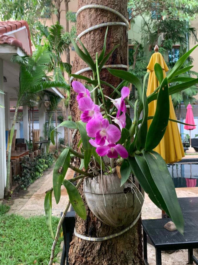 Hotel Angkor Magic Tree Boutique Siem Reap Exteriér fotografie