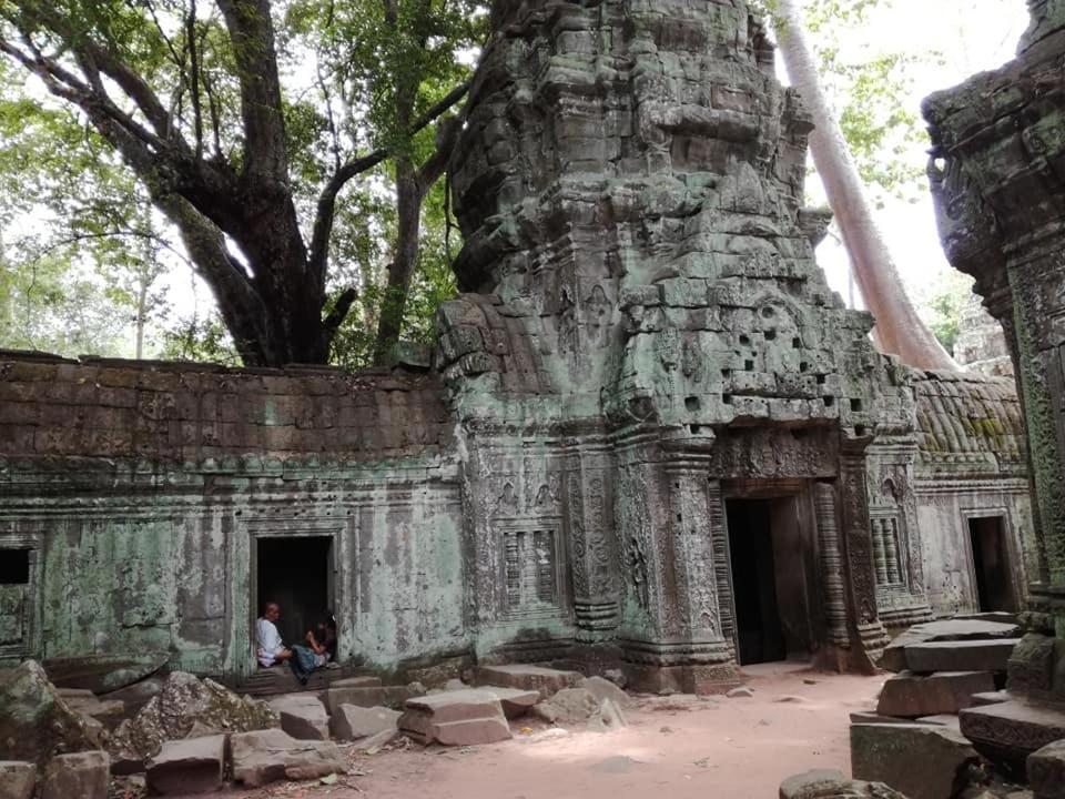 Hotel Angkor Magic Tree Boutique Siem Reap Exteriér fotografie